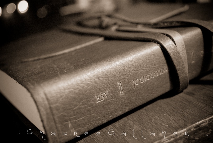 [my bible.1[4].jpg]