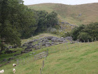 P1180005.JPG
