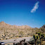 Joshua Tree
