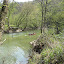 Red River Gorge, KY