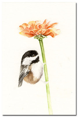 watercolour chickadee painting