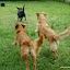 Corre galeraaaaa!