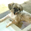 Francis na sua piscina particular..rs