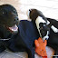 Odi dando uma de babá...aff!rs