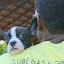 Pipoca no colo..rs