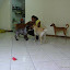 DSC09960.JPG