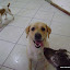 DSC09988.JPG
