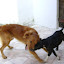 Imagem 012.jpg