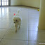 Imagem 021.jpg