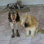 DSC00598.JPG