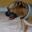 DSC00742.JPG