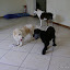 DSC08688.JPG