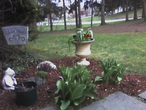 jim's front garden corner