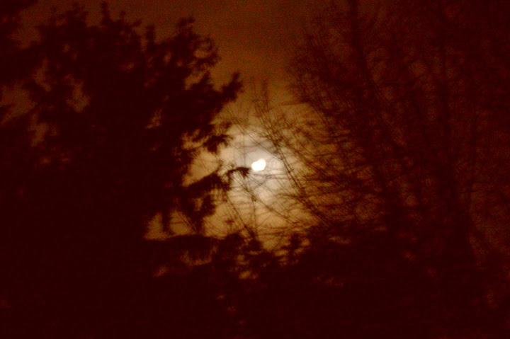 spooky moon