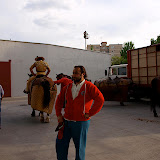P5080848.JPG