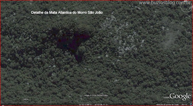 [Detalhe da Mata Atlantica do Morro São João ( Vulção)[5].jpg]