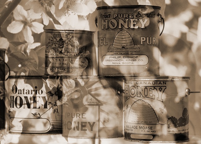 [Where Honey Comes From[4].jpg]