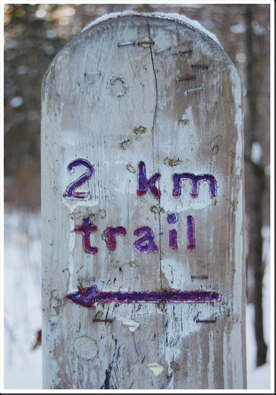 trail marker