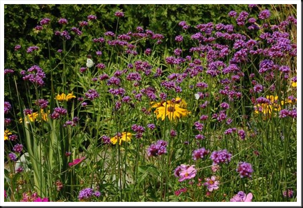 clip_image006