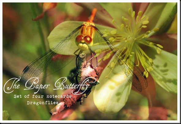 DRAGONFLY set of four copy DRAGONFLY set of four copy