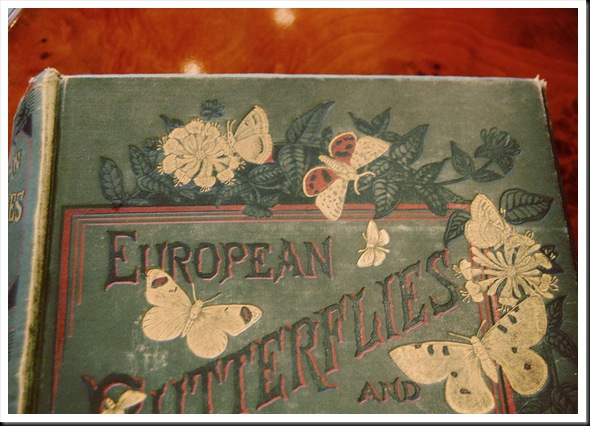 Butterfly Book 2