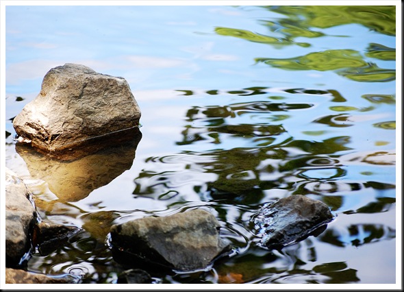 Water Reflections