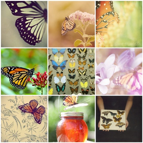 [MONARCHMOSAIC8.jpg]