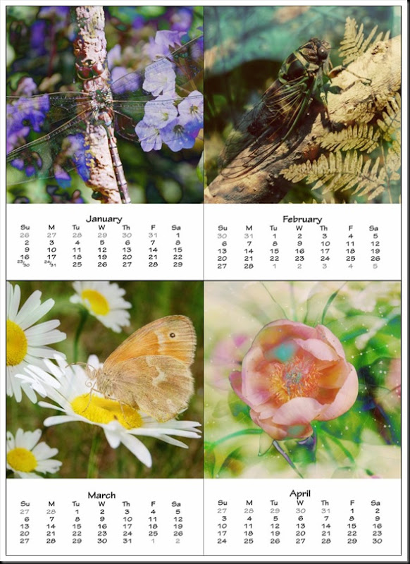 JAN-FEB-MAR-APR