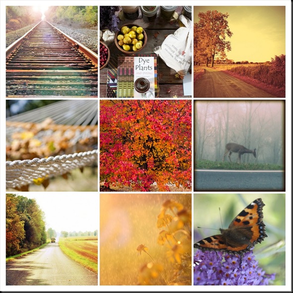 Autumn Mosaic