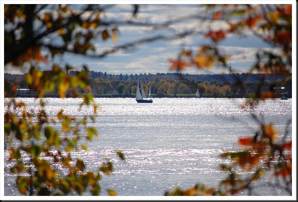 Autumn Sailboat