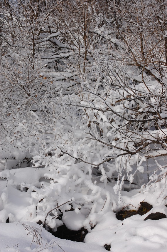 [DSC_00802.jpg]