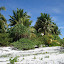 DSC04778.JPG