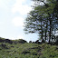 DSC02041.JPG