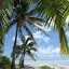 Sweet as bro. Aitutaki (most of the pictures are from there).