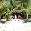 On the ”sharks“ island, Motorakau