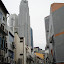 DSC05436.JPG