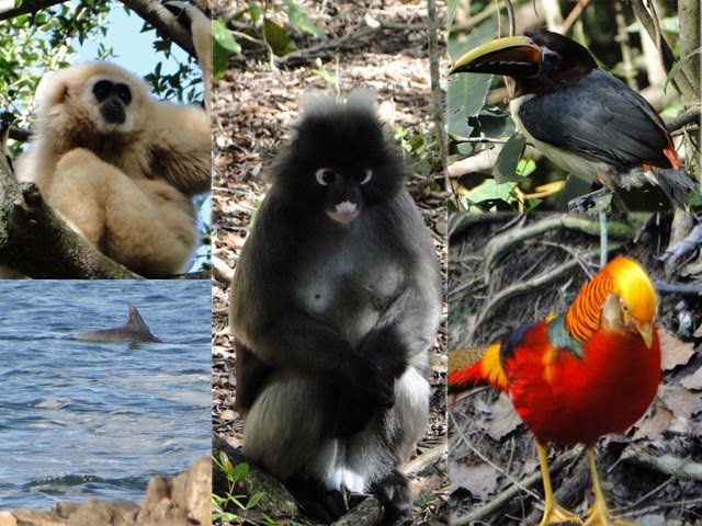 [Israel Rocha_South Africa_Surftrip 06[4].jpg]