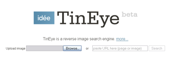 tinyeye_home