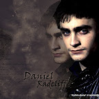 hp_daniel10.jpg