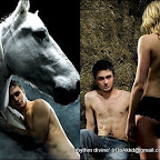 equus4.jpg