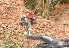 DSCF2448 DSCF2448
