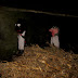 cabeçudos4.JPG