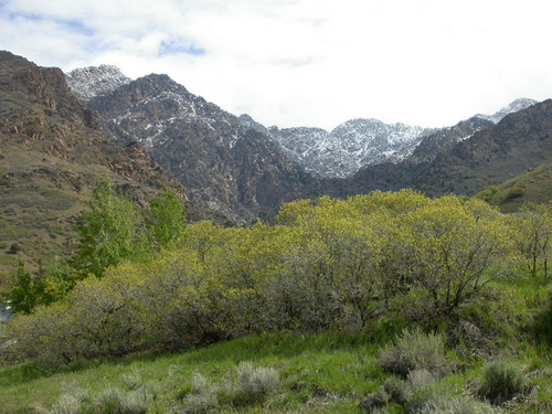 We need pictures of this section of trail. Email them to bonnevilleshorelinetrail@gmail.com.