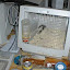 PC Velho-26.jpg