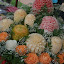 carvedfruits03.jpg