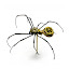 Spider108.jpg