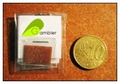 taille du Gambier Duo et Solo Taille du Gambier Duo et Solo