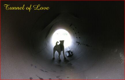 Dire Straits Tunnel Of Love