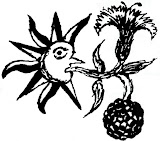 Benvinguda