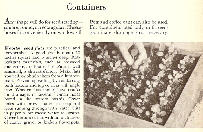 [seedlingcontainers1[3].jpg]